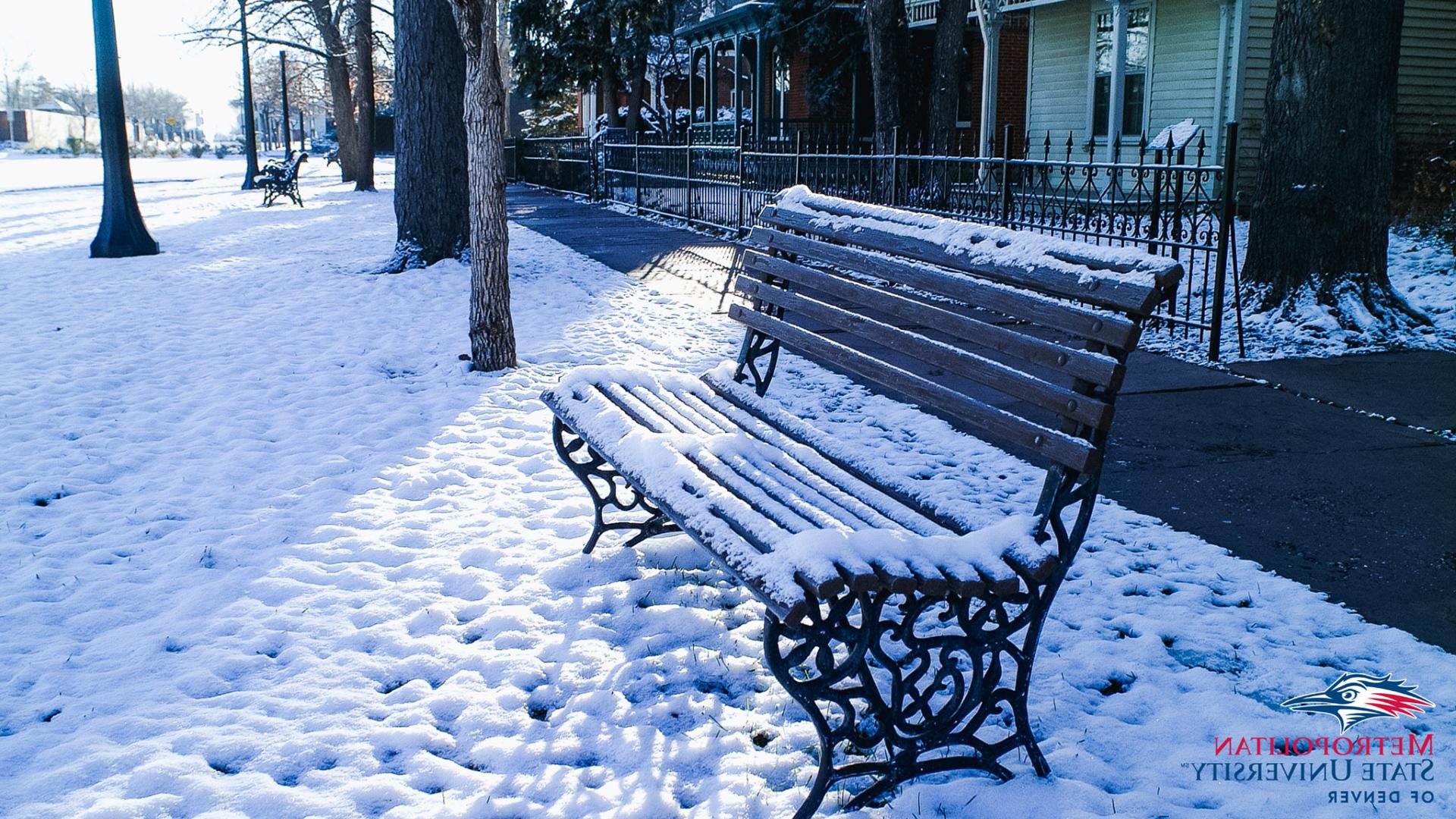 9th Street Historic Park Bench covered in snow