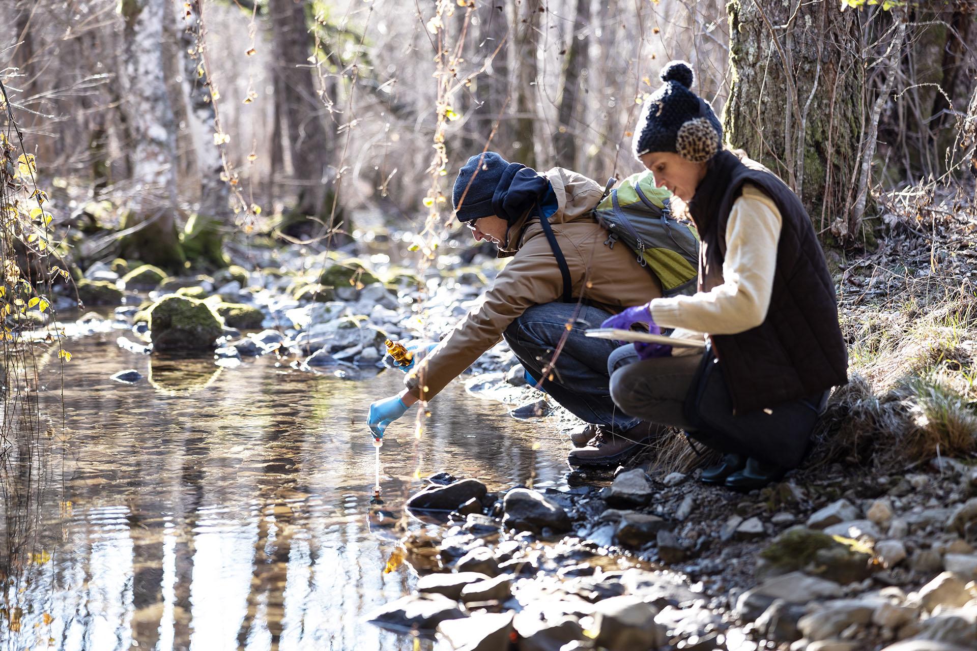 环境研究人员在森林溪流中采集水样.